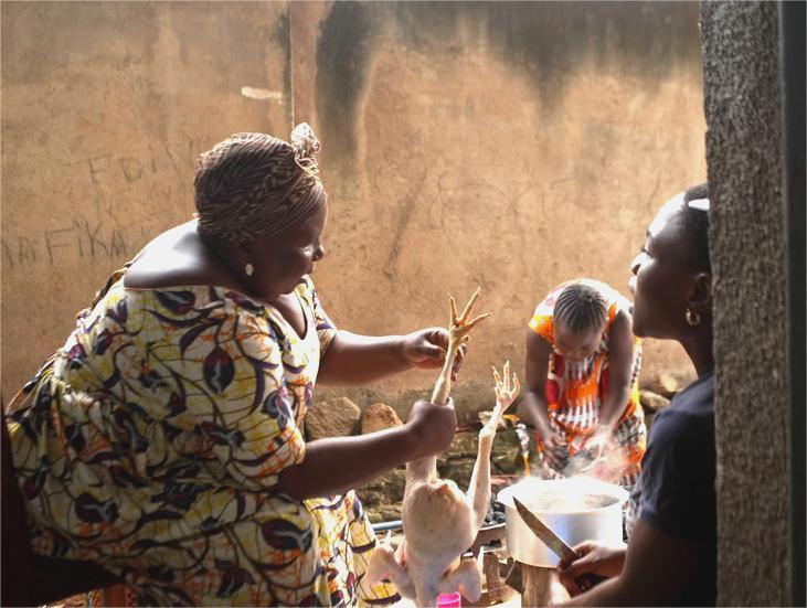 Gomaeaspuma pollo Semillas de Esperanza