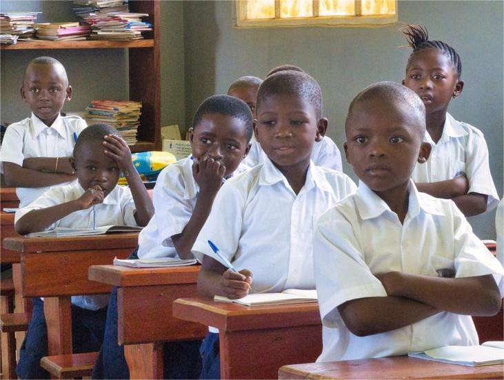 Gomaeaspuma susto Semillas de Esperanza