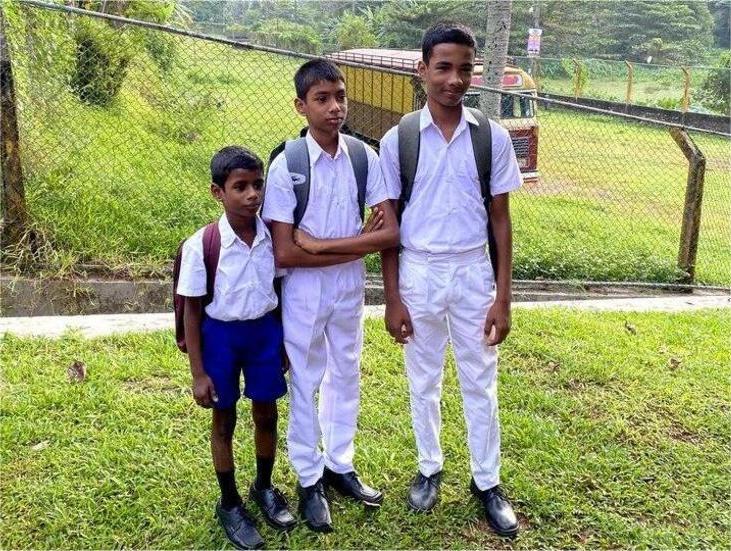 Gomaespuma Becas 1 Sri Lanka